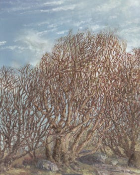 fine art landscape oil painting by Ed Wong-Ligda