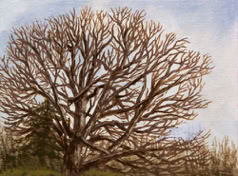 fine art landscape oil painting by Ed Wong-Ligda